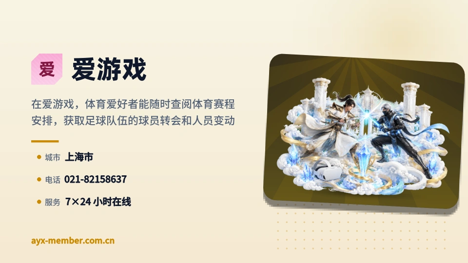 爱游戏概况